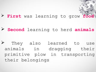 First was learning to grow food
 Second learning to herd animals
 They also learned to use
animals in dragging their
primitive plow in transporting
their belongings
 