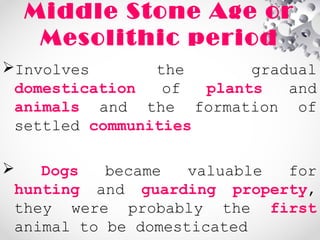 Middle Stone Age or
Mesolithic period
Involves the gradual
domestication of plants and
animals and the formation of
settled communities
 Dogs became valuable for
hunting and guarding property,
they were probably the first
animal to be domesticated
 