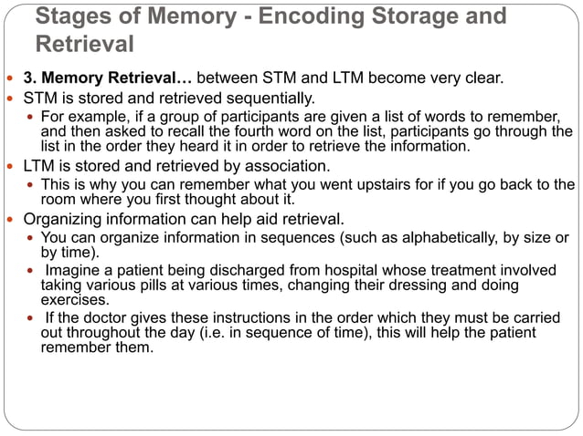 Stages of memory encoding storage and retrieval | PPTX