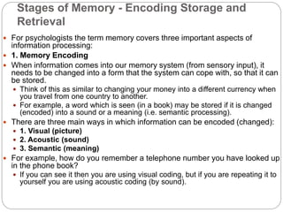 memory encoding storage retrieval