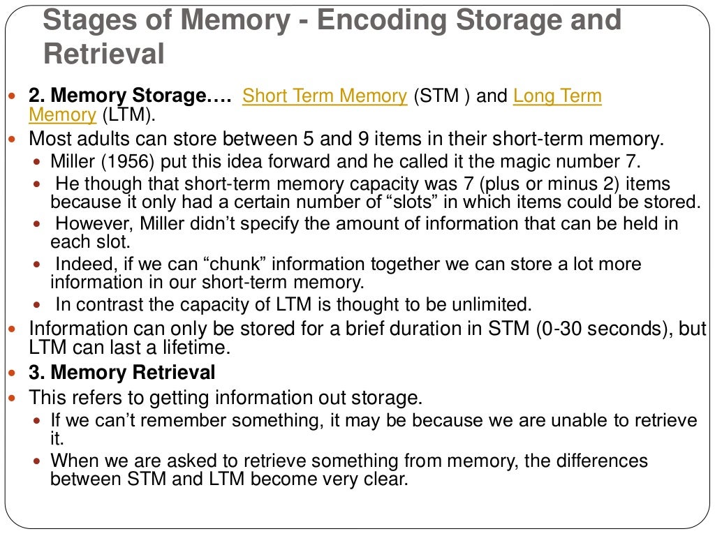 Stages of memory encoding storage and retrieval