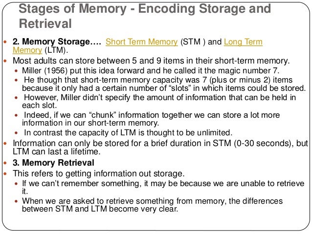 Stages of memory encoding storage and retrieval