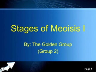Powerpoint Templates
Page 1
Stages of Meoisis I
By: The Golden Group
(Group 2)
 