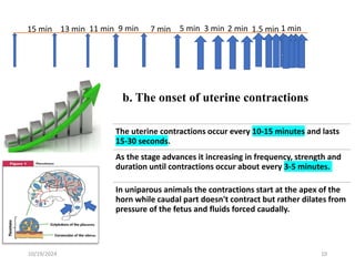 Uniparous Presentation about STAGES OF PARTURITION.pdf