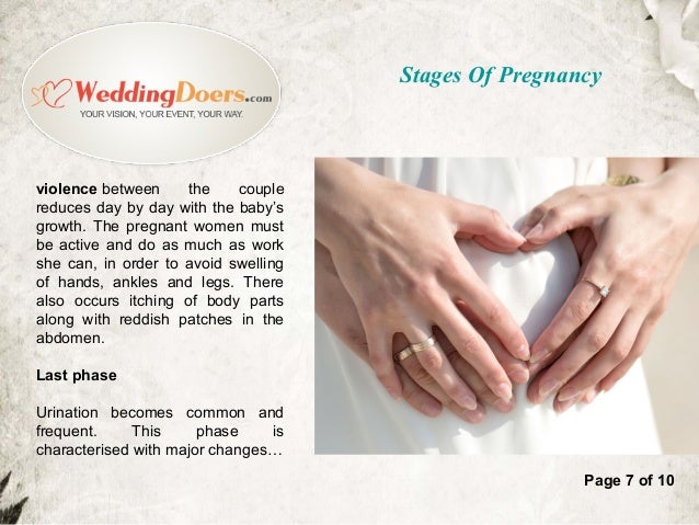 pregnancy stages day by day stages of pregnancy pregnancy stages day by day stages of pregnancy