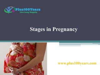Stages in Pregnancy
www.plus100years.com
 