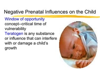 Negative Prenatal Influences on the Child
Window of opportunity
concept--critical time of
vulnerability
Teratogen is any substance
or influence that can interfere
with or damage a child’s
growth

 