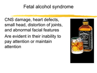 Fetal alcohol syndrome
CNS damage, heart defects,
small head, distortion of joints,
and abnormal facial features
Are evident in their inability to
pay attention or maintain
attention

 