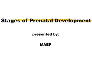 Stages of Prenatal Development
presented by:
MAEP

 