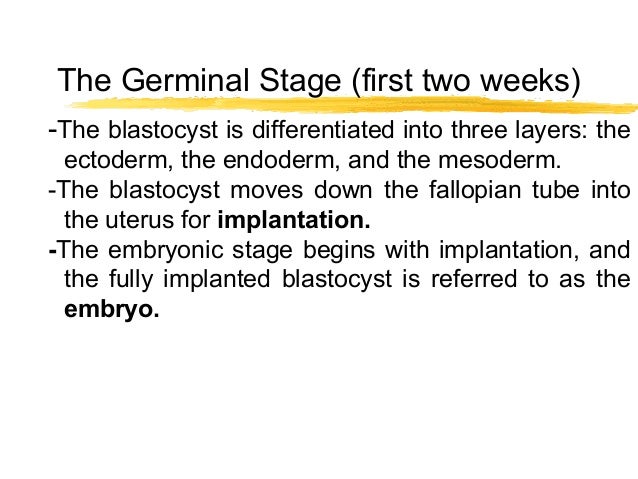 stages of prenantal development Prenatal stress and cognitive development and temperament in infants resulting in delay of motor and cognitive development and impaired adaptation to stressful. stages of prenantal development Prenatal stress and cognitive development and temperament in infants resulting in delay of motor and cognitive development and impaired adaptation to stressful.