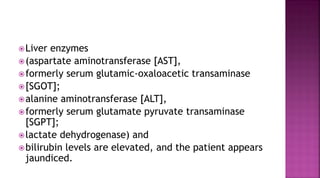 Liver enzymes
(aspartate aminotransferase [AST],
formerly serum glutamic-oxaloacetic transaminase
[SGOT];
alanine aminotransferase [ALT],
formerly serum glutamate pyruvate transaminase
[SGPT];
lactate dehydrogenase) and
bilirubin levels are elevated, and the patient appears
jaundiced.
 