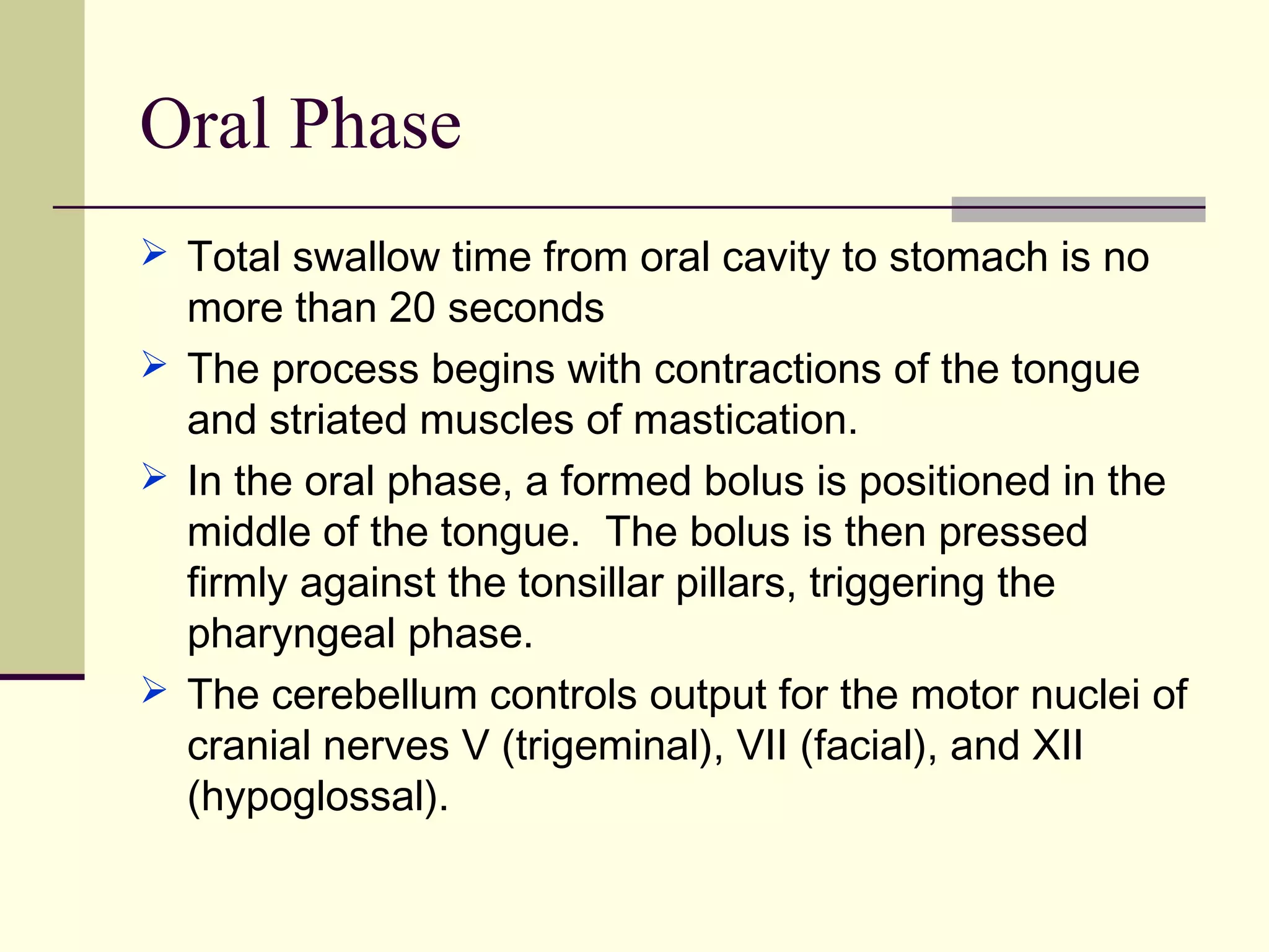 Stages of swallowing | PPT