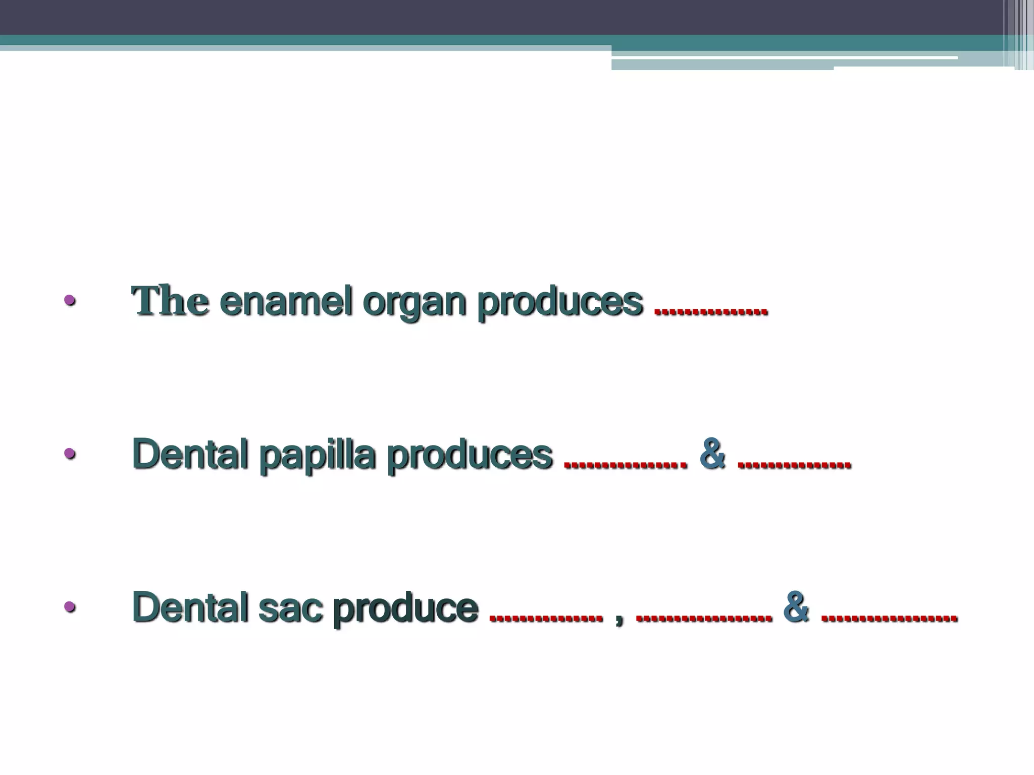 • The enamel organ produces ……………
• Dental papilla produces ……………. & ……………
• Dental sac produce …………… , ……………… & ………………
 