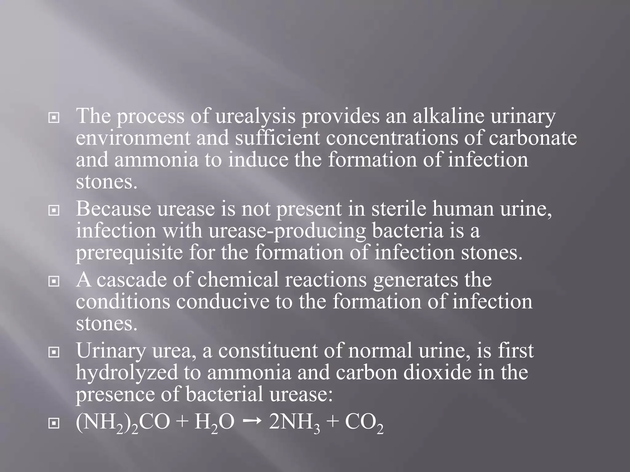 The process of urealysis provides an alkaline urinary
environment and sufficient concentrations of carbonate
and ammonia to induce the formation of infection
stones.
 Because urease is not present in sterile human urine,
infection with urease-producing bacteria is a
prerequisite for the formation of infection stones.
 A cascade of chemical reactions generates the
conditions conducive to the formation of infection
stones.
 Urinary urea, a constituent of normal urine, is first
hydrolyzed to ammonia and carbon dioxide in the
presence of bacterial urease:
 (NH2)2CO + H2O ➙ 2NH3 + CO2
 