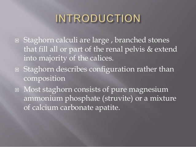 calculi in medical terms