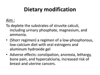 Staghorn calculus – etiology, diagnosis, management