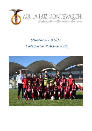 Stagione 2016/17
Categoria Pulcini 2006  
 