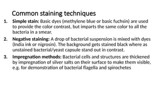 different stain methods STAING METHODS.pptx