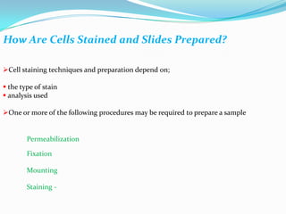 Slide Preparation Staining | PPTX