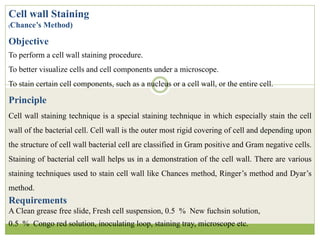 Staining of Bacteria | PDF