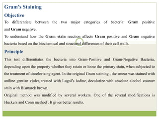 Gram’s Staining
Objective
To differentiate between the two major categories of bacteria: Gram positive
and Gram negative.
To understand how the Gram stain reaction affects Gram positive and Gram negative
bacteria based on the biochemical and structural differences of their cell walls.
Principle
This test differentiates the bacteria into Gram-Positive and Gram-Negative Bacteria,
depending upon the property whether they retain or loose the primary stain, when subjected to
the treatment of decolorizing agent. In the original Gram staining , the smear was stained with
aniline gentian violet, treated with Lugol’s iodine, decolorize with absolute alcohol counter
stain with Bismarck brown.
Original method was modified by several workers. One of the several modifications is
Huckers and Conn method . It gives better results.
 
