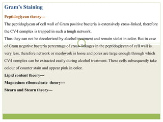 Gram’s Staining
Peptidoglycan theory---
The peptidoglycan of cell wall of Gram positive bacteria is extensively cross-linked, therefore
the CV-I complex is trapped in such a tough network.
Thus they can not be decolorized by alcohol treatment and remain violet in color. But in case
of Gram negative bacteria percentage of cross-linkages in the peptidoglycan of cell wall is
very less, therefore network or meshwork is loose and pores are large enough through which
CV-I complex can be extracted easily during alcohol treatment. These cells subsequently take
colour of counter stain and appear pink in color.
Lipid content theory---
Magnesium ribonucleate theory---
Stearn and Stearn theory---
 