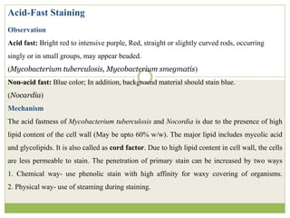 Acid-Fast Staining
Observation
Acid fast: Bright red to intensive purple, Red, straight or slightly curved rods, occurring
singly or in small groups, may appear beaded.
(Mycobacterium tuberculosis, Mycobacterium smegmatis)
Non-acid fast: Blue color; In addition, background material should stain blue.
(Nocardia)
Mechanism
The acid fastness of Mycobacterium tuberculosis and Nocordia is due to the presence of high
lipid content of the cell wall (May be upto 60% w/w). The major lipid includes mycolic acid
and glycolipids. It is also called as cord factor. Due to high lipid content in cell wall, the cells
are less permeable to stain. The penetration of primary stain can be increased by two ways
1. Chemical way- use phenolic stain with high affinity for waxy covering of organisms.
2. Physical way- use of steaming during staining.
 