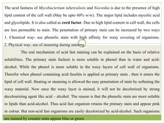 The acid fastness of Mycobacterium tuberculosis and Nocordia is due to the presence of high
lipid content of the cell wall (May be upto 60% w/w). The major lipid includes mycolic acid
and glycolipids. It is also called as cord factor. Due to high lipid content in cell wall, the cells
are less permeable to stain. The penetration of primary stain can be increased by two ways
1. Chemical way- use phenolic stain with high affinity for waxy covering of organisms.
2. Physical way- use of steaming during staining.
The real mechanism of acid fast staining can be explained on the basis of relative
solubilities. The primary stain fuchsin is more soluble in phenol than in water and acid-
alcohol. While the phenol is more soluble in the waxy layers of cell wall of organisms.
Therefor when phenol containing acid fuschin is applied as primary stain , then it enters the
lipid of cell wall. Heating or steaming is allowed the easy penetration of stain by softening the
waxy material. Now once the waxy layer is stained, it will not be decolorized by strong
decolourizing agent like acid – alcohol. The reason is that the phenolic stain are more soluble
in lipids than acid-alcohol. Thus acid fast organism retains the primary stain and appear pink
in colour. But non-acid fast organisms are easily decolorized by acid-alcohol. Such organisms
are stained by counter stain appear blue or green.
 