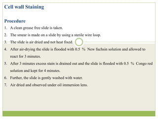 Cell wall Staining
Procedure
1. A clean grease free slide is taken.
2. The smear is made on a slide by using a sterile wire loop.
3. The slide is air dried and not heat fixed.
4. After air-drying the slide is flooded with 0.5 % New fuchsin solution and allowed to
react for 3 minutes.
5. After 3 minutes excess stain is drained out and the slide is flooded with 0.5 % Congo red
solution and kept for 4 minutes.
6. Further, the slide is gently washed with water.
7. Air dried and observed under oil immersion lens.
 