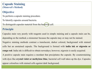 Capsule Staining
(Maneval’s Method)
Objective
To perform a capsule staining procedure.
To Identify capsules around bacteria.
To distinguish capsular material from the bacterial cell.
Principle
Capsules stain very poorly with reagents used in simple staining and a capsule stain can be,
depending on the method, a misnomer because the capsule may or may not be stained.
Negative staining methods contrast a translucent, darker colored, background with stained
cells but an unstained capsule. The background is formed with india ink or nigrosin or
congo red. India ink is difﬁcult to obtain nowadays; however, nigrosin is easily acquired.
A positive capsule stain requires a mordant that precipitates the capsule. By counterstaining
with dyes like crystal violet or methylene blue, bacterial cell wall takes up the dye. Capsules
appear colourless with stained cells against dark background.
 