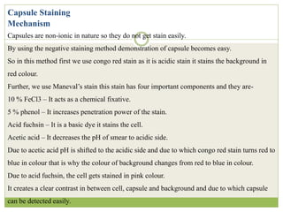 Mechanism
Capsules are non-ionic in nature so they do not get stain easily.
By using the negative staining method demonstration of capsule becomes easy.
So in this method first we use congo red stain as it is acidic stain it stains the background in
red colour.
Further, we use Maneval’s stain this stain has four important components and they are-
10 % FeCl3 – It acts as a chemical fixative.
5 % phenol – It increases penetration power of the stain.
Acid fuchsin – It is a basic dye it stains the cell.
Acetic acid – It decreases the pH of smear to acidic side.
Due to acetic acid pH is shifted to the acidic side and due to which congo red stain turns red to
blue in colour that is why the colour of background changes from red to blue in colour.
Due to acid fuchsin, the cell gets stained in pink colour.
It creates a clear contrast in between cell, capsule and background and due to which capsule
can be detected easily.
Capsule Staining
 