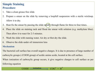 Simple Staining
Procedure
1. Take a clean grease free slide.
2. Prepare a smear on the slide by removing a loopfull suspension with a sterile wireloop.
Allow it to dry.
3. Heat fix the smear by passing the slide rapidly through flame for three to four times.
4. Place the slide on staining rack and flood the smear with solution (e.g. methylene blue).
Then allow it to react for 2-3 minutes.
5. Wash the slide with running water. Air dry or blot dry the slide.
6. Observe the slide under oil immersion lens
Mechanism
The bacterial cell surface has overall negative charges. It is due to presence of large number of
carboxylic groups (-COOH group) of acidic amino acids, located at the cell surface.
When ionization of carboxylic group occurs, it give negative charges to cell surface as per
following equation
COOH COO
- + H+
ionization
 