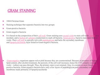 GRAM STAINING
 1884 Christian Gram
 Staining technique that separates bacteria into two groups:
 Gram-positive bacteria
 Gram-negative bacteria
 It is based on the composition of their cell wall. Gram staining uses crystal violet to stain cell walls ,iodine as a
mordant, and a fuchsin or safranin counterstain to mark all bacteria. Gram-positive bacteria stain dark blue or
violet. Their cell wall is typically rich with peptidoglycan and lacks the secondary membrane
and lipopolysaccharide layer found in Gram-negative bacteria.
 Gram-negative organisms appear red or pink because they are counterstained. Because of presence of higher
lipid content, after alcohol-treatment, the porosity of the cell wall increases, hence the CVI complex (crystal
violet – iodine) can pass through. Thus, the primary stain is not retained. Also, in contrast to most Gram-
positive bacteria, Gram-negative bacteria have only a few layers of peptidoglycan and a secondary cell
membrane made primarily of lipopolysaccharide
5
 