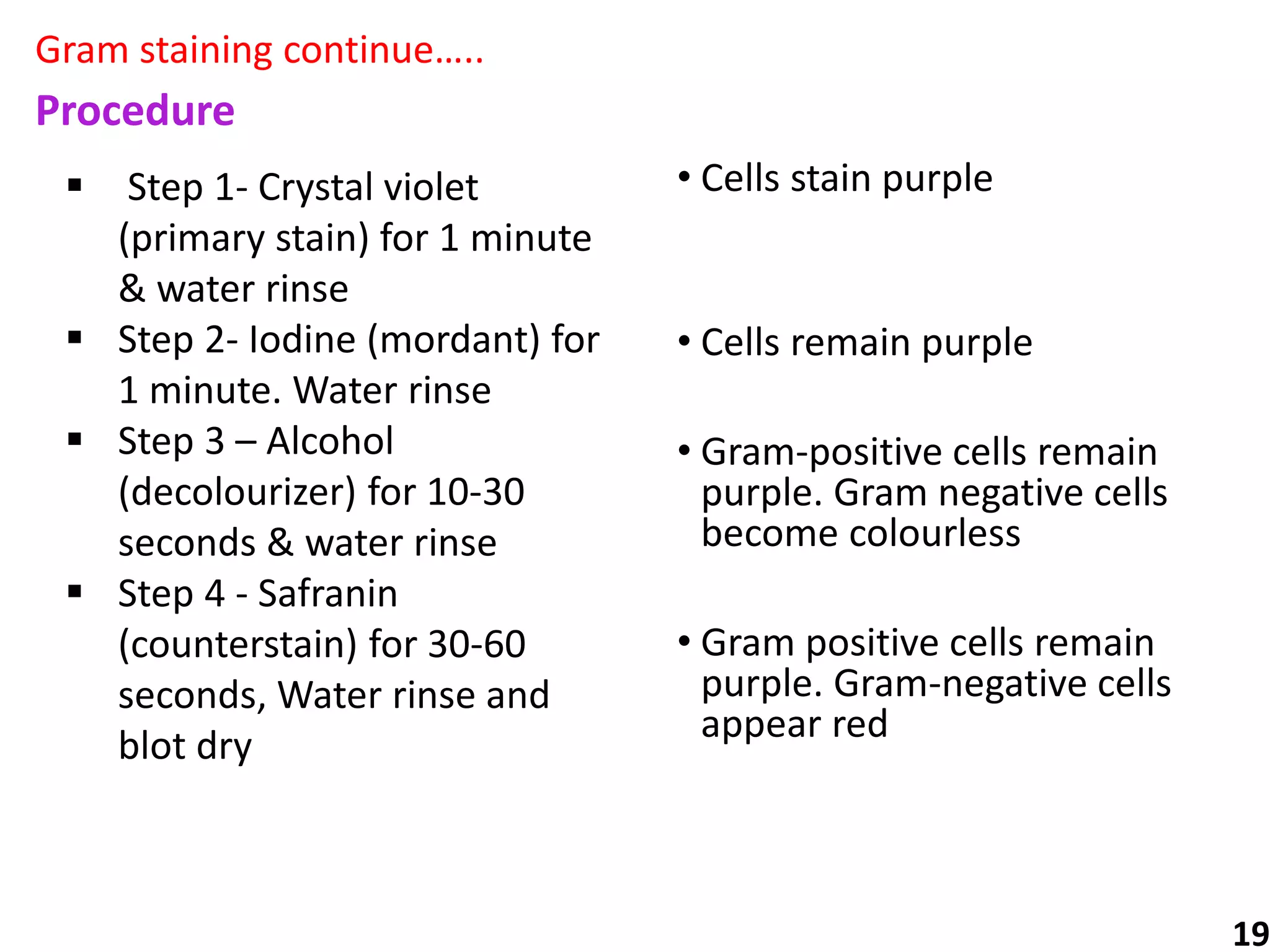 Megative Staining Staining.pptx