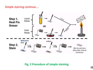 Staining Flowchart Staining.pptx