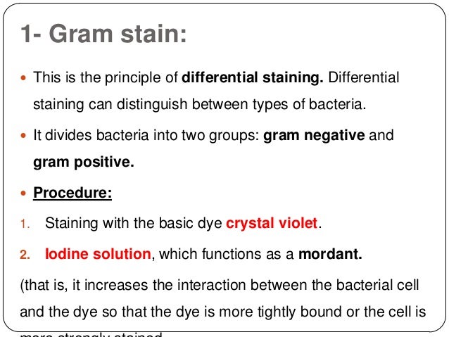 differential grams staining essay Colony morphology, gram stain, enzymatic, microscopic, selective and differential examinations on pure strains of unknown laboratory sample to reveal the. differential grams staining essay Colony morphology, gram stain, enzymatic, microscopic, selective and differential examinations on pure strains of unknown laboratory sample to reveal the.