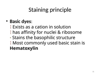Comprehensive Guide to Tissue Staining Techniques in Histology | PPTX