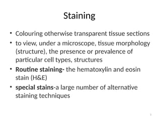 Routine Staining Comprehensive Guide to Tissue Staining Techniques in Histology | PPTX