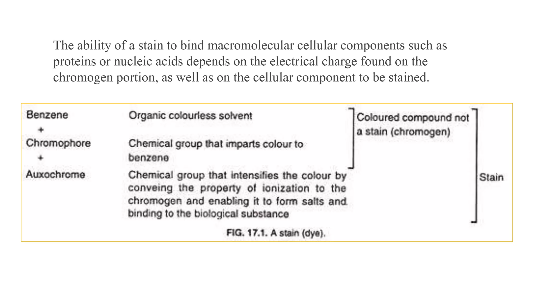 The ability of a stain to bind macromolecular cellular components such as
proteins or nucleic acids depends on the electrical charge found on the
chromogen portion, as well as on the cellular component to be stained.
 
