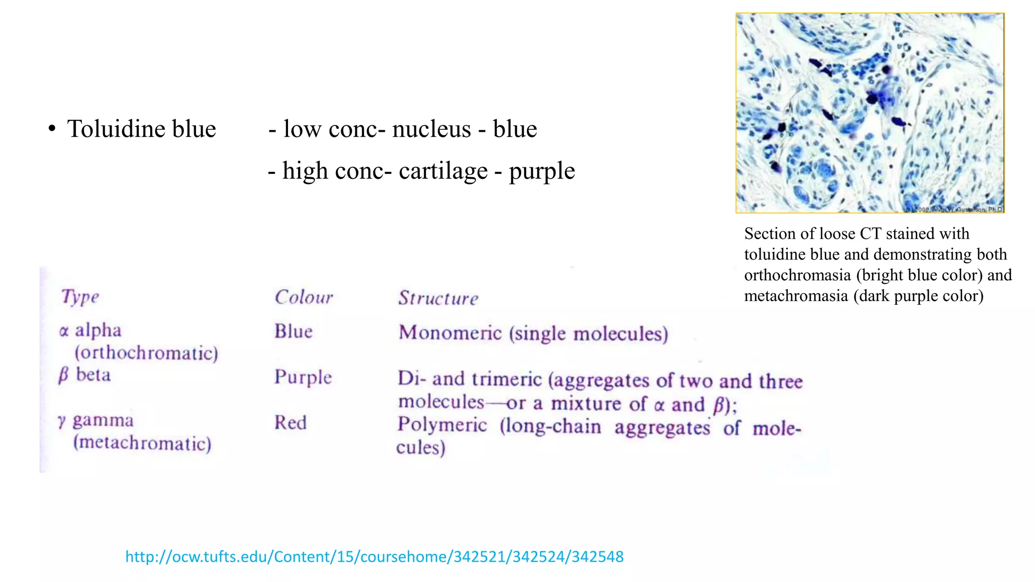 • Toluidine blue - low conc- nucleus - blue
- high conc- cartilage - purple
http://ocw.tufts.edu/Content/15/coursehome/342521/342524/342548
Section of loose CT stained with
toluidine blue and demonstrating both
orthochromasia (bright blue color) and
metachromasia (dark purple color)
 
