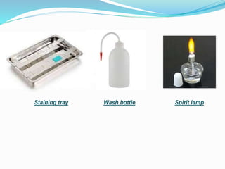 .
Staining tray Wash bottle Spirit lamp
 