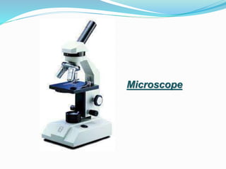 Microscope
 