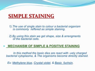 SIMPLE STAINING
1).The use of single stain to colour a bacterial organism
is commonly reffered as simple staining.
2).By using this stain we get shape, size & arrengments
of the bacterial cells.
 MECHANISM OF SIMPLE & POSITIVE STAINING
In this method the basic dies are react with -vely charged
bacterial cytoplasma, & The organisms become directly stained.
Ex: Methylene blue, Crystal violet, & Basic fuchsin.
 