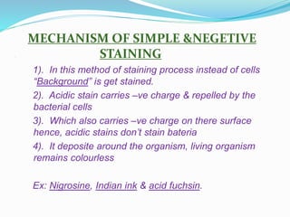 .
MECHANISM OF SIMPLE &NEGETIVE
STAINING
1). In this method of staining process instead of cells
“Background” is get stained.
2). Acidic stain carries –ve charge & repelled by the
bacterial cells
3). Which also carries –ve charge on there surface
hence, acidic stains don’t stain bateria
4). It deposite around the organism, living organism
remains colourless
Ex: Nigrosine, Indian ink & acid fuchsin.
 