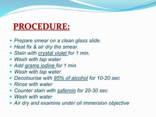 PROCEDURE:
 Prepare smear on a clean glass slide.
 Heat fix & air dry the smear.
 Stain with crystal violet for 1 min.
 Wash with tap water
 Add grams iodine for 1 min
 Wash with tap water
 Decolourise with 95% of alcohol for 10-20 sec
 Rinse with water
 Counter stain with safernin for 20-30 sec
 Wash with water
 Air dry and examine under oil immersion objective
 