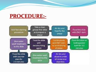 PROCEDURE:-
 