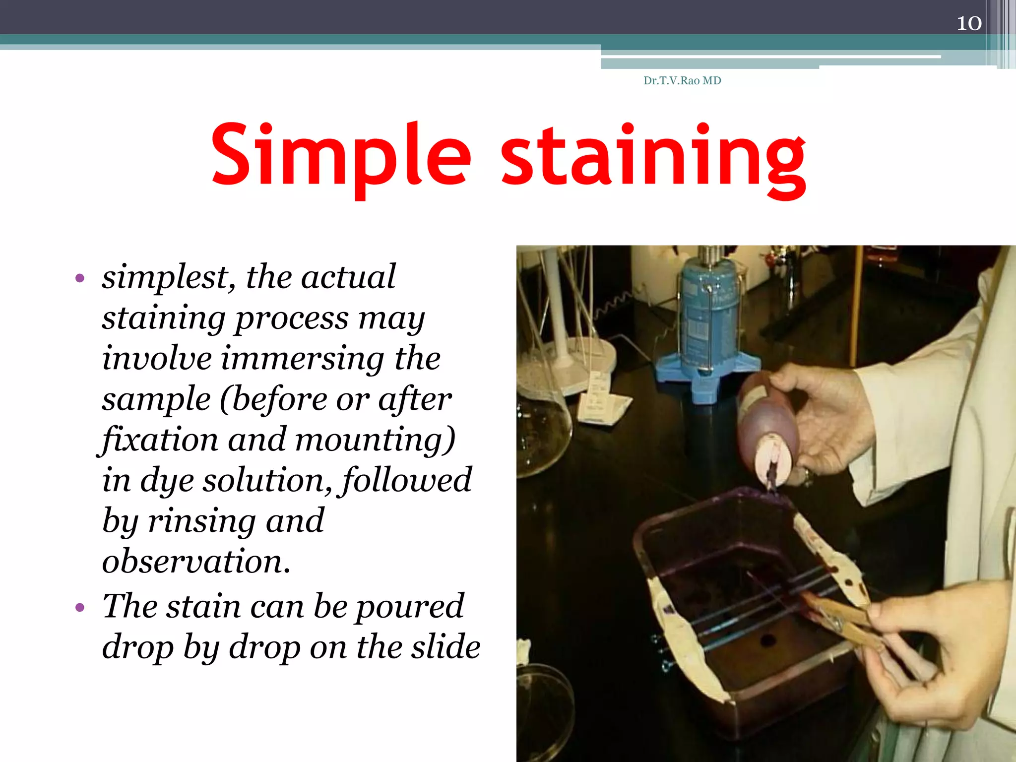 Simple staining
• simplest, the actual
staining process may
involve immersing the
sample (before or after
fixation and mounting)
in dye solution, followed
by rinsing and
observation.
• The stain can be poured
drop by drop on the slide
10
Dr.T.V.Rao MD
 