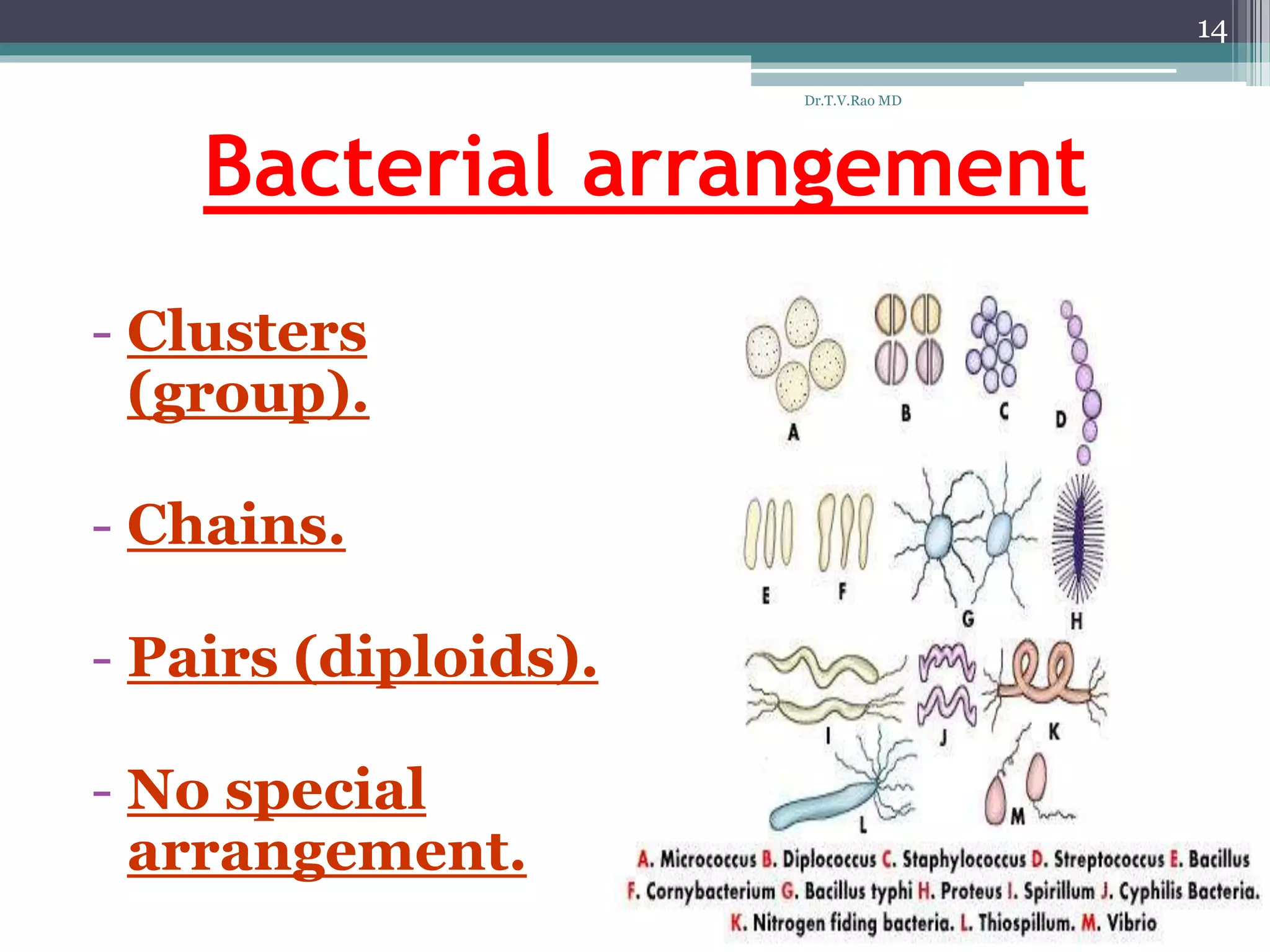 Bacterial arrangement
- Clusters
(group).
- Chains.
- Pairs (diploids).
- No special
arrangement.
14
Dr.T.V.Rao MD
 