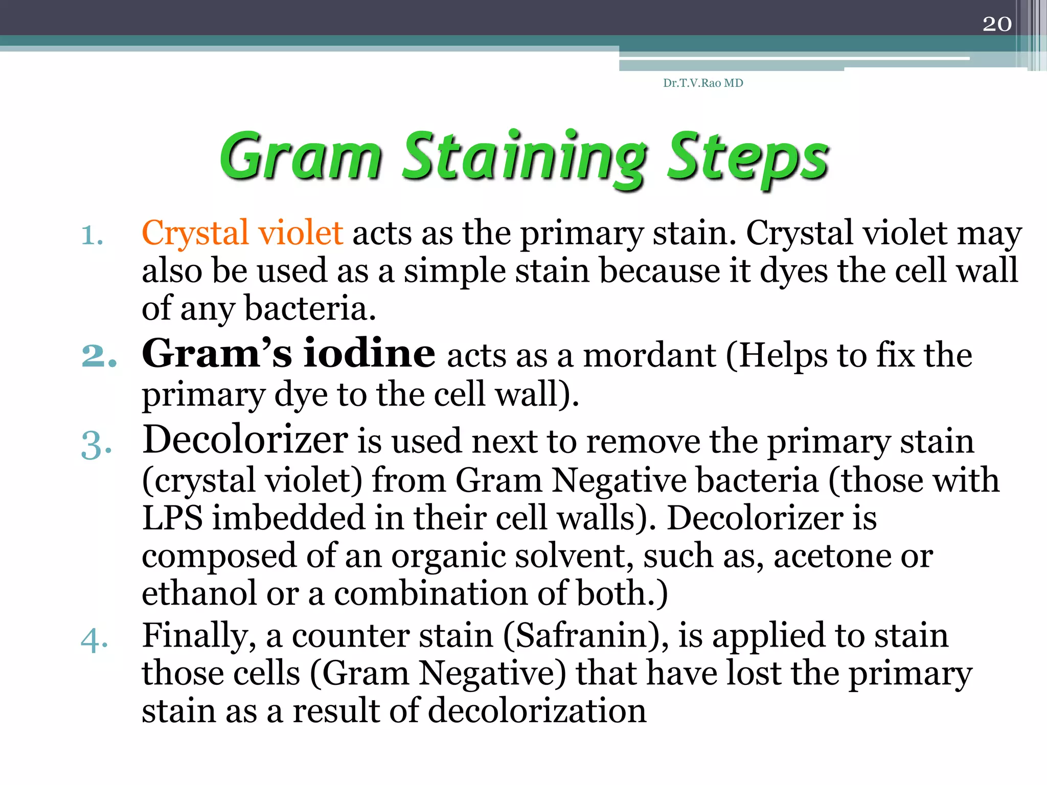 Gram Staining Steps
1. Crystal violet acts as the primary stain. Crystal violet may
also be used as a simple stain because it dyes the cell wall
of any bacteria.
2. Gram’s iodine acts as a mordant (Helps to fix the
primary dye to the cell wall).
3. Decolorizer is used next to remove the primary stain
(crystal violet) from Gram Negative bacteria (those with
LPS imbedded in their cell walls). Decolorizer is
composed of an organic solvent, such as, acetone or
ethanol or a combination of both.)
4. Finally, a counter stain (Safranin), is applied to stain
those cells (Gram Negative) that have lost the primary
stain as a result of decolorization
20
Dr.T.V.Rao MD
 
