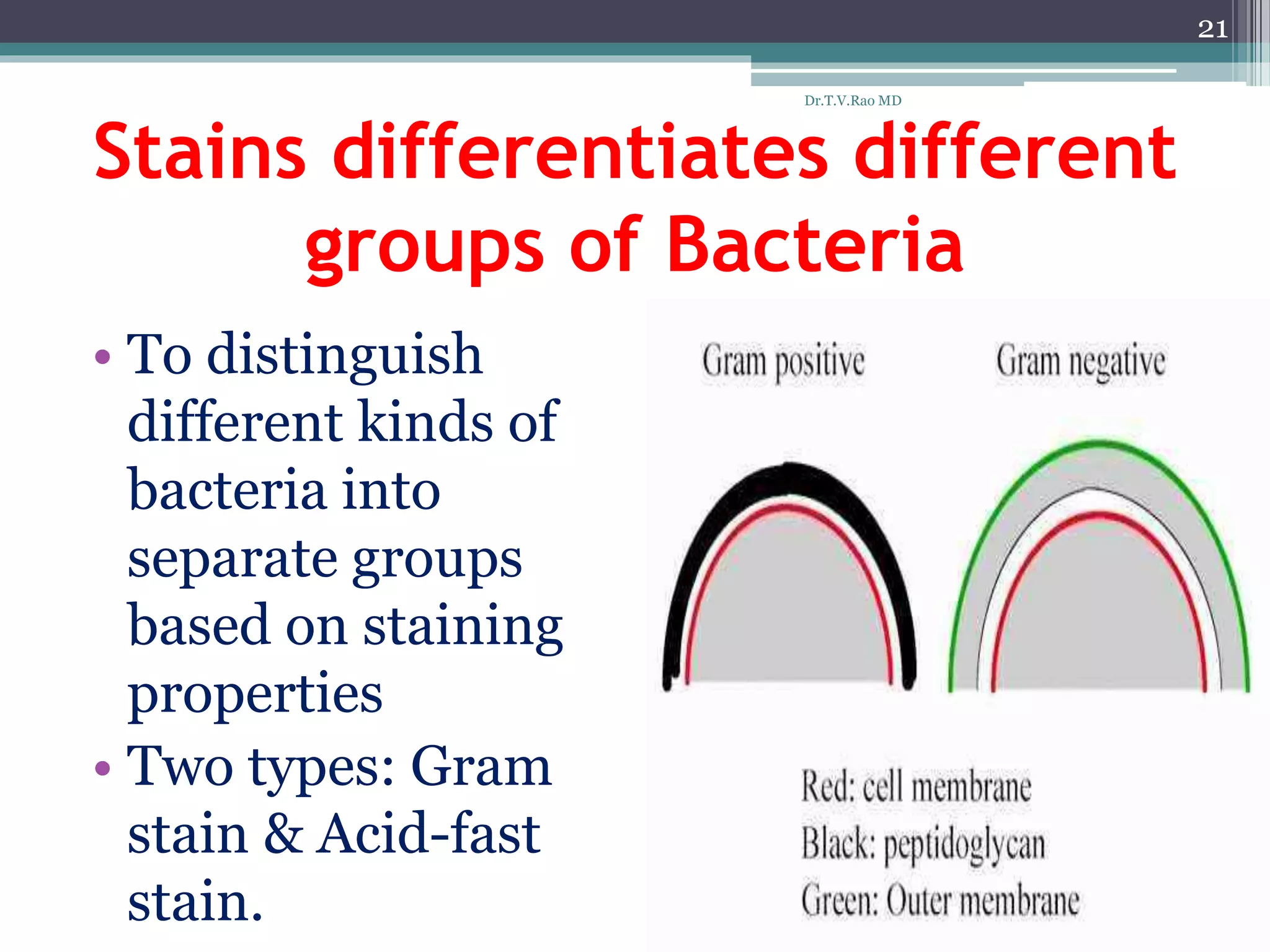 Stains differentiates different
groups of Bacteria
• To distinguish
different kinds of
bacteria into
separate groups
based on staining
properties
• Two types: Gram
stain & Acid-fast
stain.
21
Dr.T.V.Rao MD
 